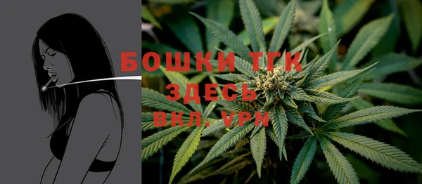 ПСИЛОЦИБИНОВЫЕ ГРИБЫ Абаза