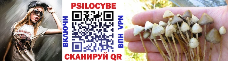 ОМГ ОМГ ССЫЛКА  Ковдор  Галлюциногенные грибы Psilocybe 